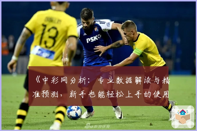《中彩网分析：专业数据解读与精准预测，新手也能轻松上手的使用指南》