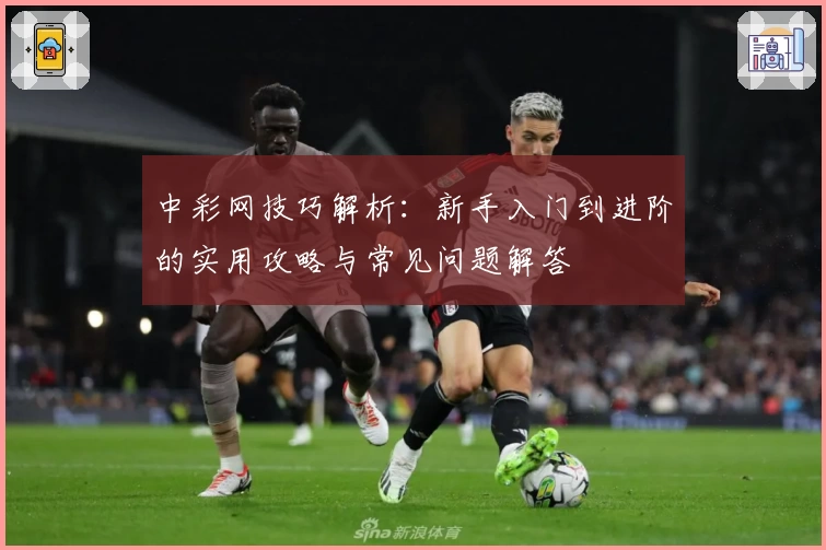 中彩网技巧解析：新手入门到进阶的实用攻略与常见问题解答