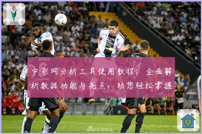 中彩网分析工具使用教程：全面解析数据功能与亮点，助您轻松掌握关键信息
